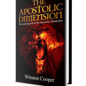 The Apostolic Dimension